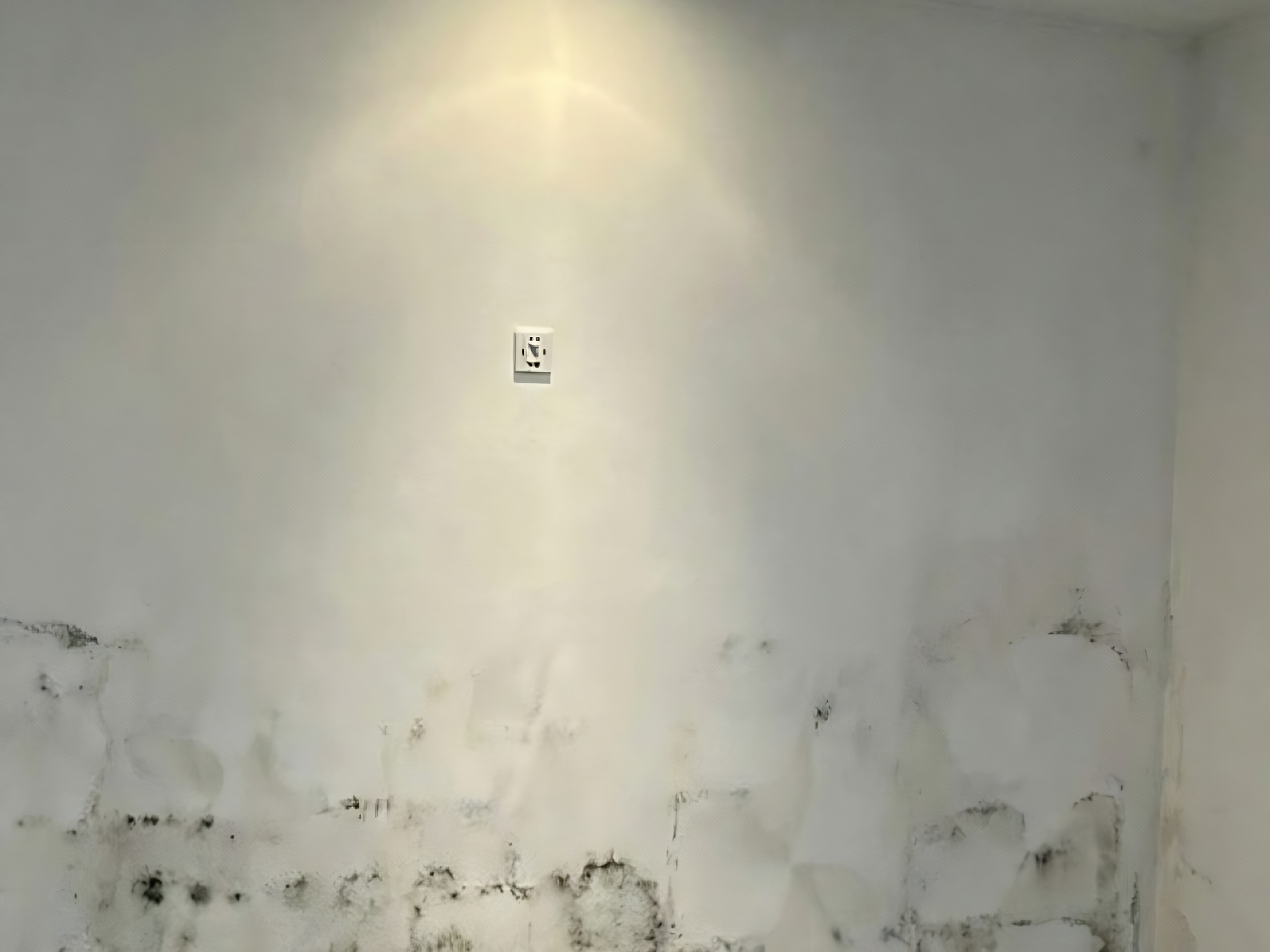 Antes: Sala con humedad de cimientos